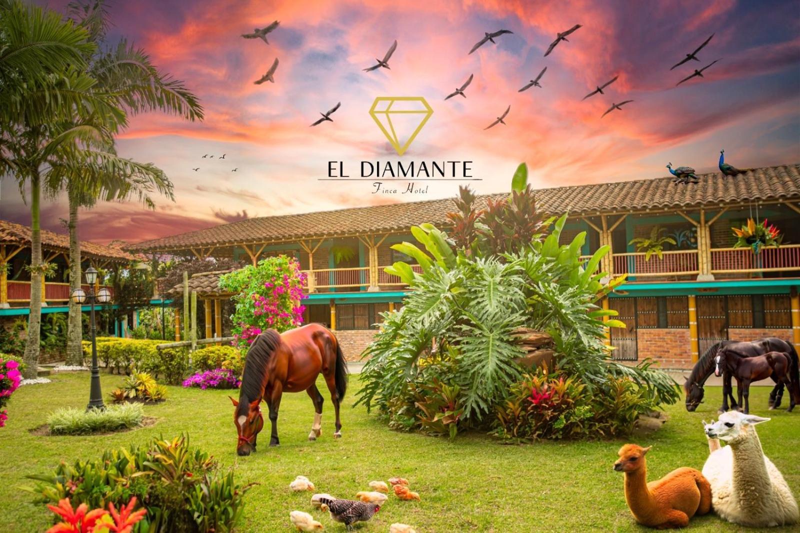 Finca Hotel El Diamante Calarca Ngoại thất bức ảnh